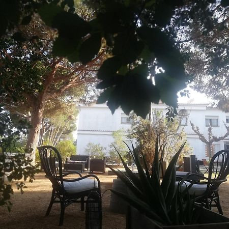 Hostal Los Pinares 료렛 드 마르 외부 사진