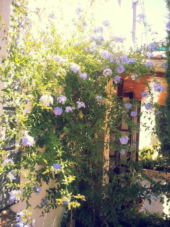 Hostal Los Pinares 료렛 드 마르 외부 사진