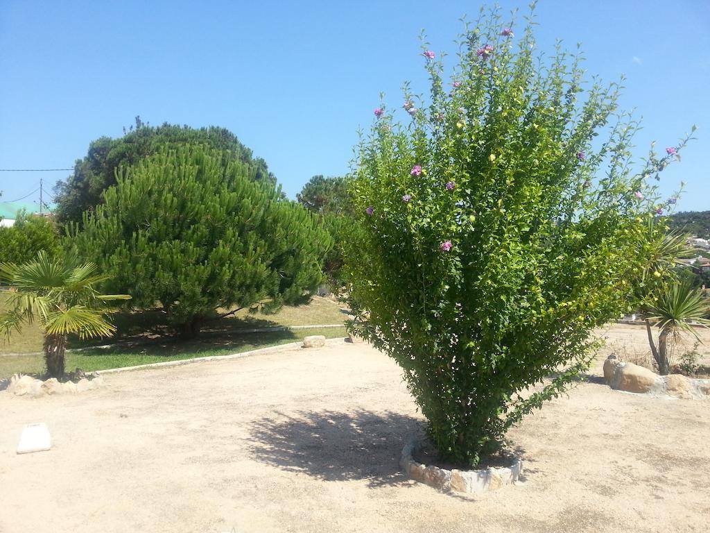 Hostal Los Pinares 료렛 드 마르 외부 사진